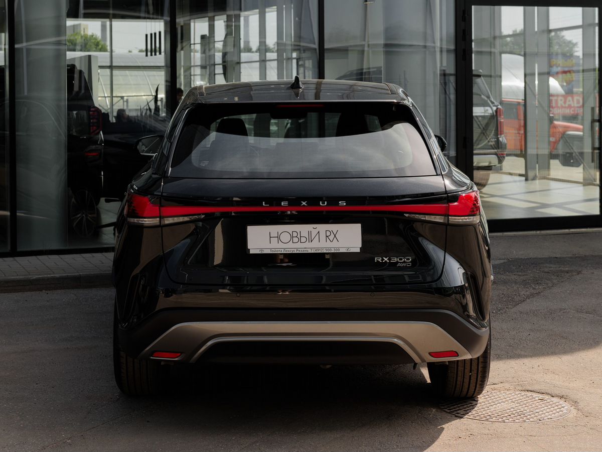 Lexus RX - фото 14