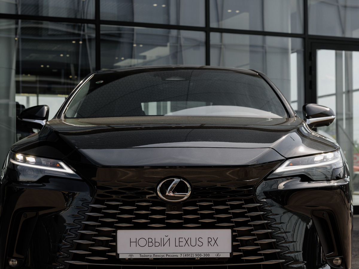 Lexus RX - фото 8