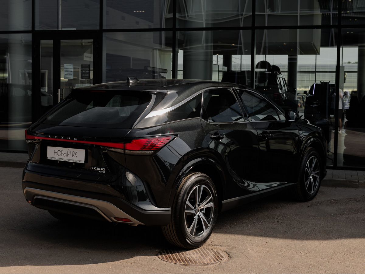Lexus RX - фото 8