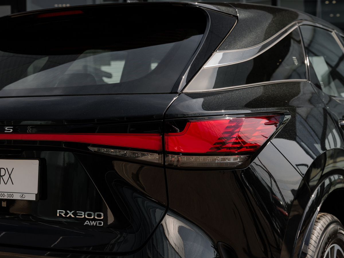 Lexus RX - фото 9
