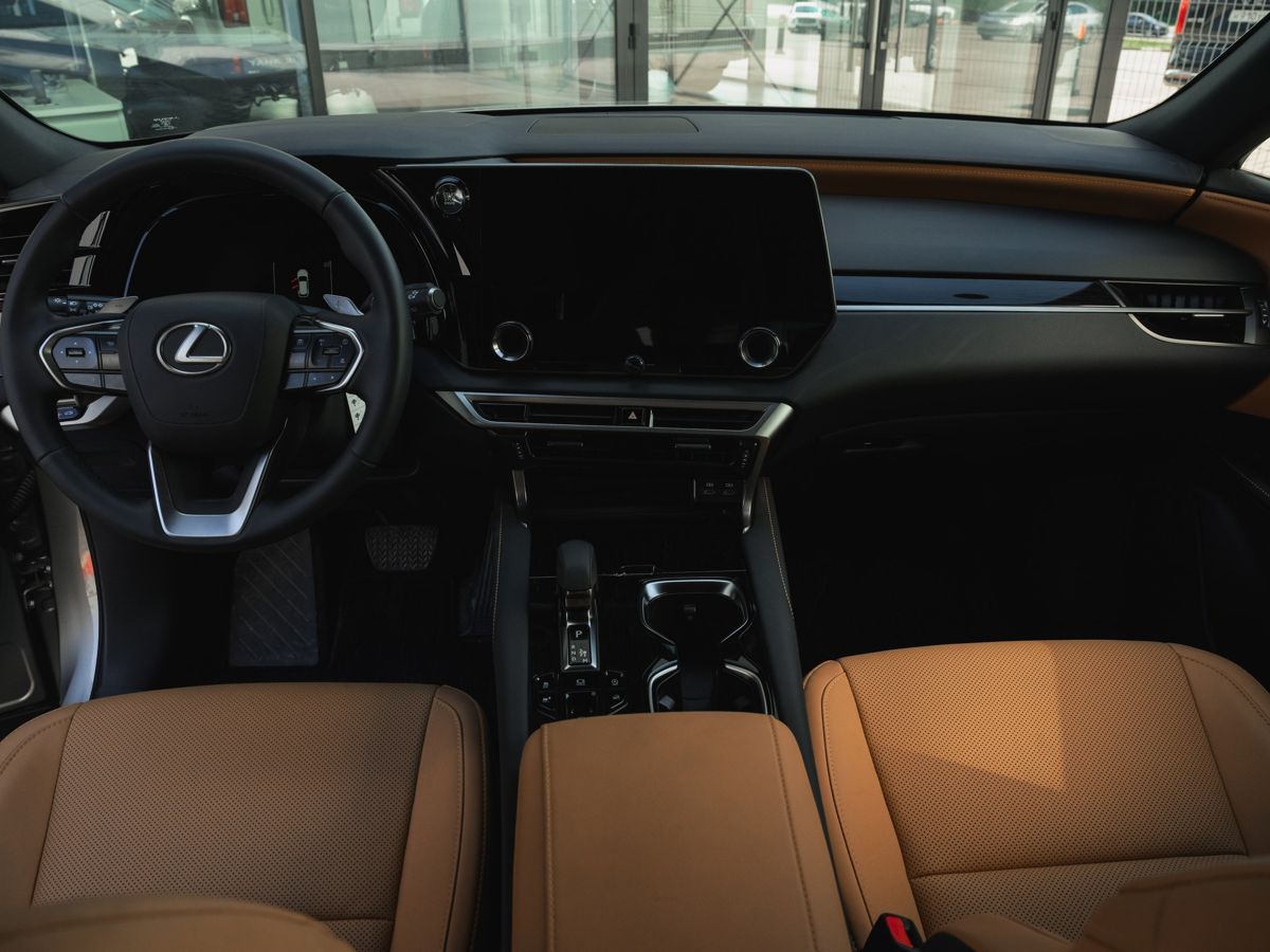 Lexus RX - фото 17