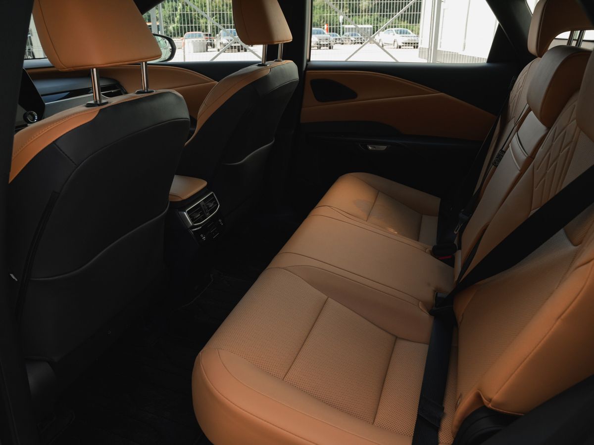 Lexus RX - фото 19