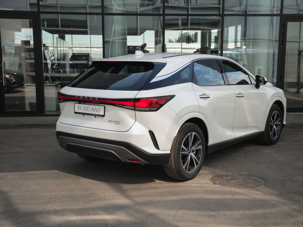 Lexus RX - фото 7