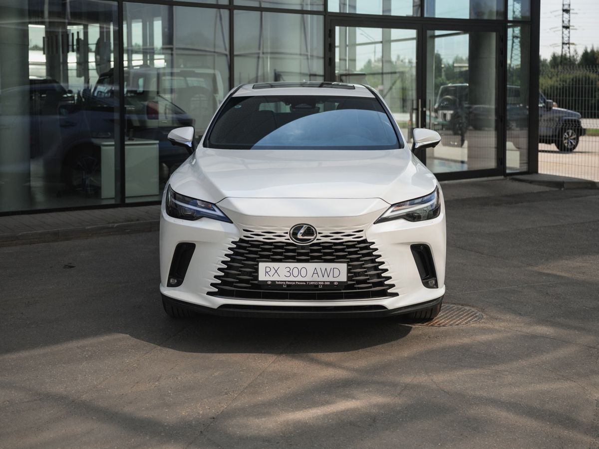 Lexus RX - фото 2