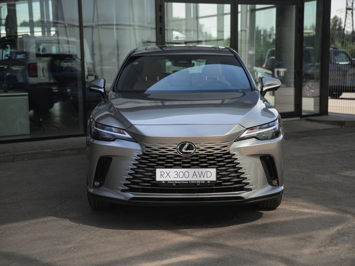 Lexus RX - фото 5