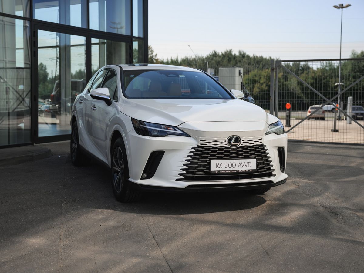 Lexus RX - фото 5