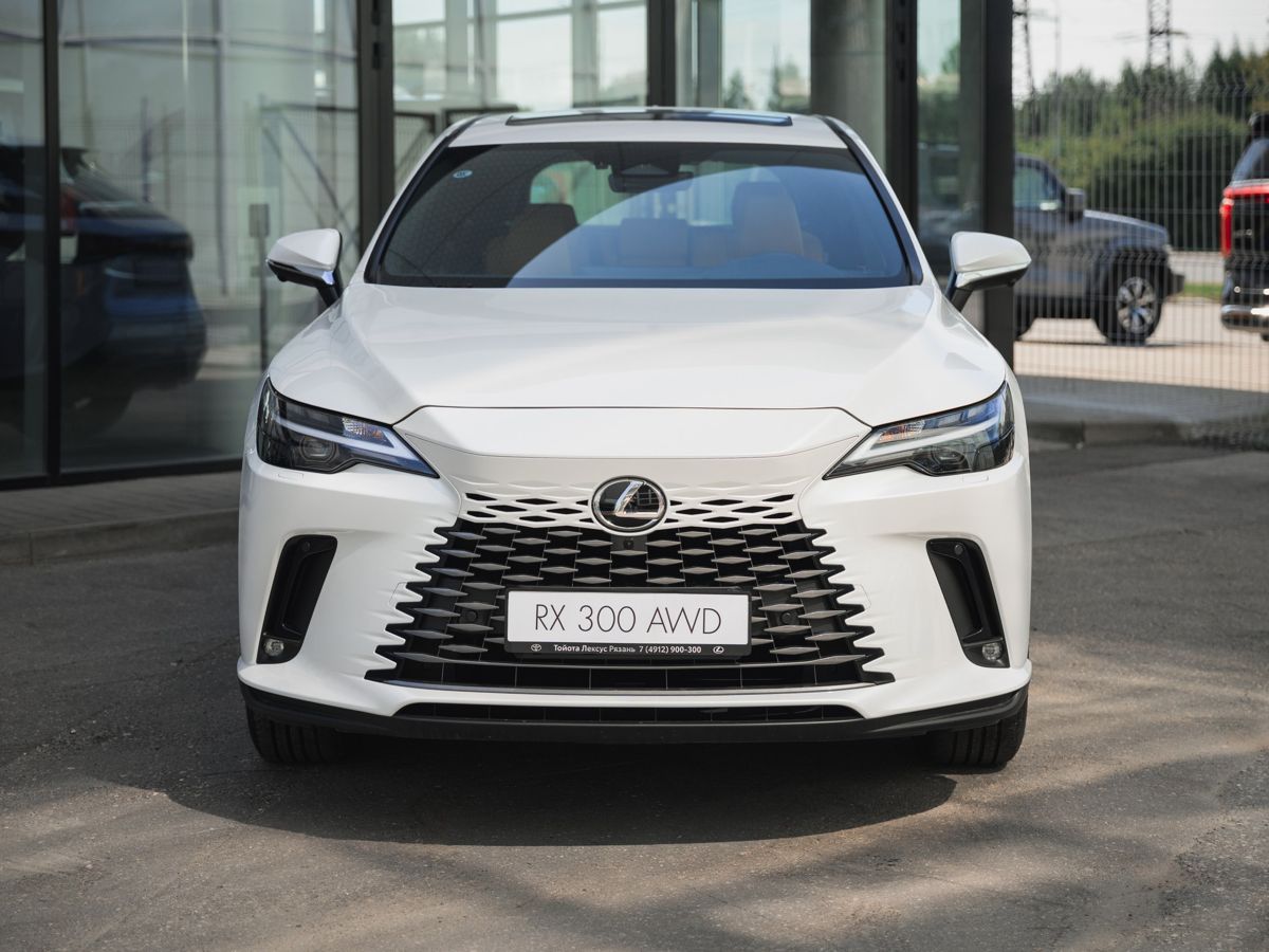 Lexus RX - фото 6