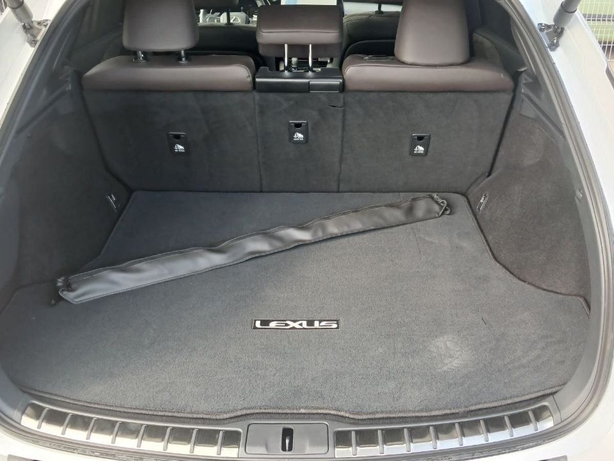 Lexus RX - фото 25