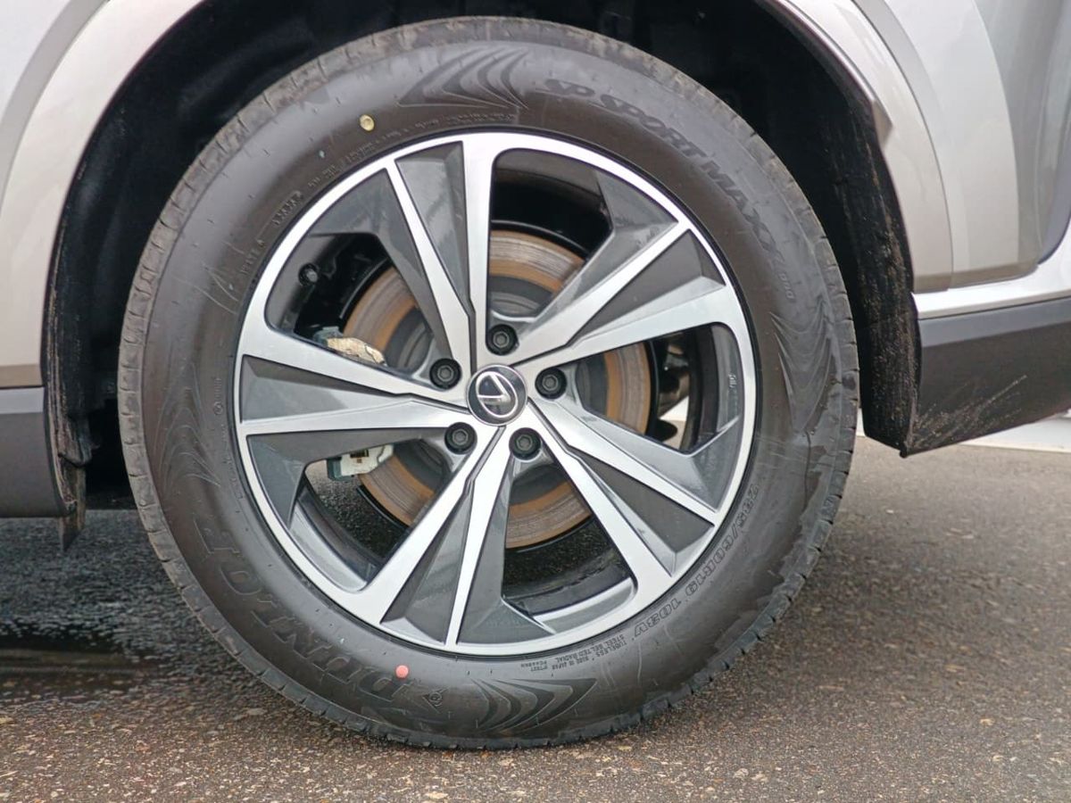 Lexus RX - фото 6